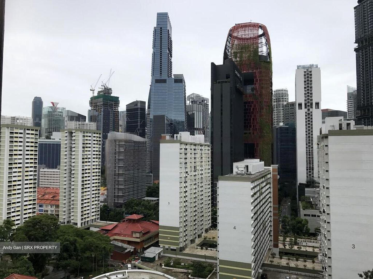 Blk 1F The Pinnacle@Duxton (Bukit Merah), HDB 5 Rooms #476739531